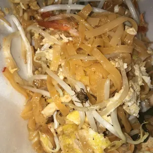 A cockroach on my food!