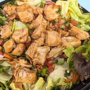 ChickenTeriyaki Salad: This was much larger than the other plates and comes covered in Chicken.