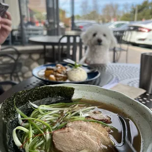 Duck Noodles