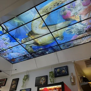 Ceiling