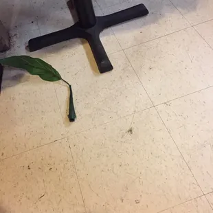 Dirty floor (it could really use a good mopping with Mr Clean)!