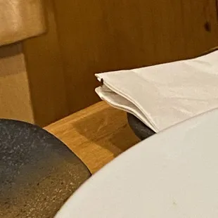 It's tiny but there's a bug on the edge of the napkin