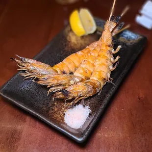 Kauai Shrimp