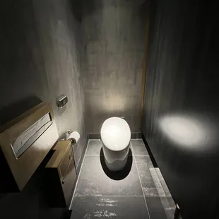 Automatic toilet