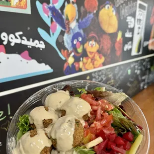 Falafel Salad