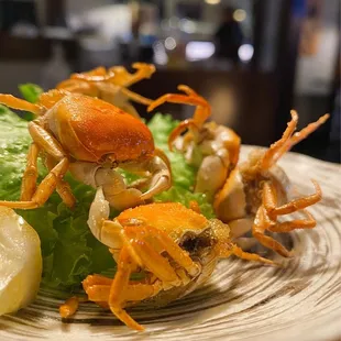 Sawagani - Japanese Freshwater Crabs; Crisp Fried