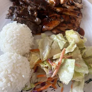 Beef and Chicken Teriyaki