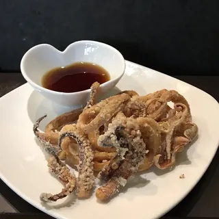 Octopus