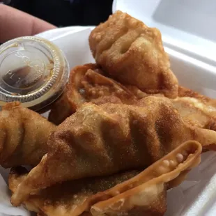 Gyoza