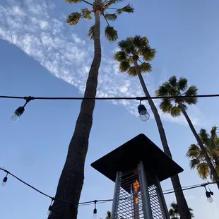 outside, burritos and wraps