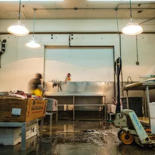 workers in a fish market