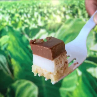 Chocolate Haupia Pie