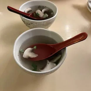 Mushroom onion soup