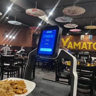 The star of the show....robot