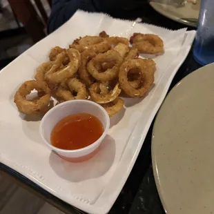 Fried Calamari