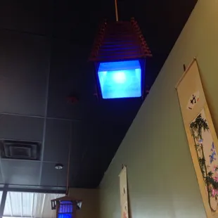 Black lights above some bench seating