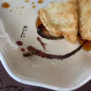 a bug on my plate