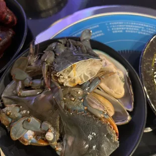 oysters and mussels, food