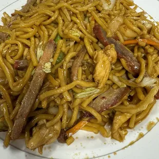House special lo mein (noodles were broken)