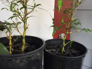 Hung Hang Seafood Market