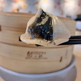 Black Truffle Pork Soup Dumplings