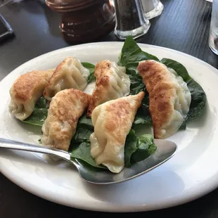 Pot Stickers