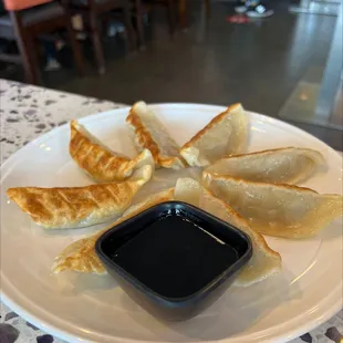 Pan Fried Dumplings