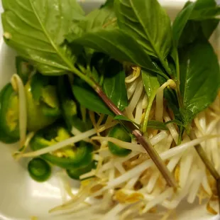 The Pho garnish, yah it's all used.