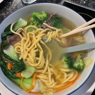 Beef egg-noodle soup in delicious broth!