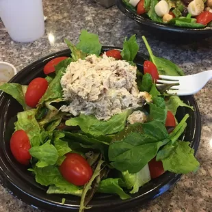 Apple Walnut chicken salad