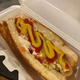 a hot dog in a styrofoam container