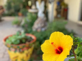 DreamCatcher Inn at Chiricahua