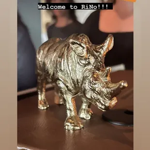 Ricko the Rino is what I call him!