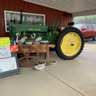 a tractor and chickens