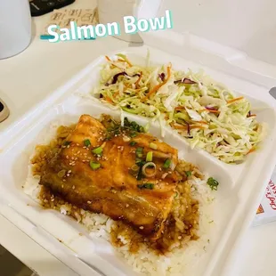 Salmon Bowl