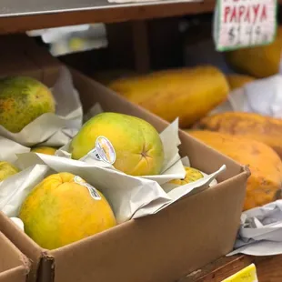 a variety of mangoes
