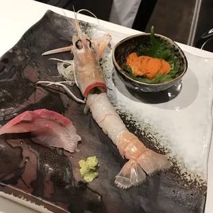 Zealand Scampi