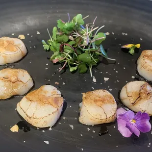 Truffle Scallop