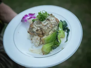 Island Fusion Catering