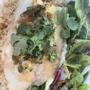 Cilantro something fish and brown rice with a side salad