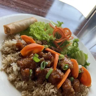 Orange Chicken with carrots over fried rice with a side of salad