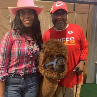 YaYa's Alpaca farm September 2023