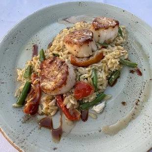 Sea Scallops