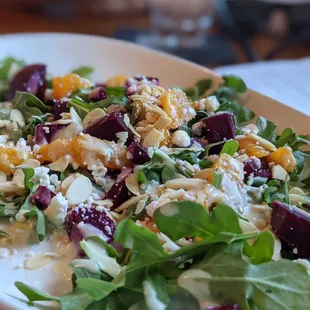 Roasted beet salad appetizer that was delicious