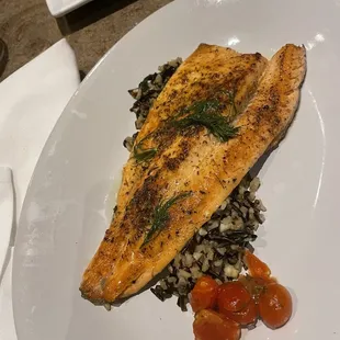 Rocky Mountain Trout