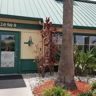 sushi and sashimi, outside