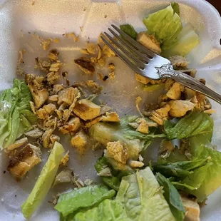 Nasty, extra-dry Chicken Caesar with Chicken dust sprinkled on top. All other photos here are canned photos except this one.