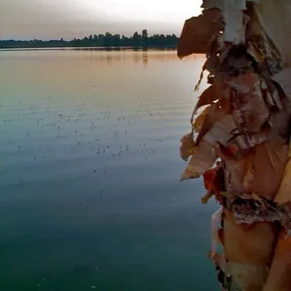 C. D.