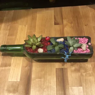 Plant nite