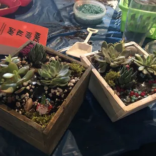 Finished products